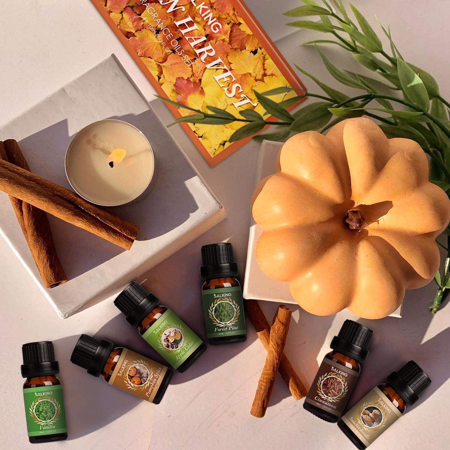 Autumn Fragrance Oils, Premium Fall Essential Oils for Diffuser, Scented Oils Gift Set for Soap Candle Making Scents - Cinnamon, Pumpkin Spice, Apple Cider, Vanilla, Forest Pine, Snickerdoodle