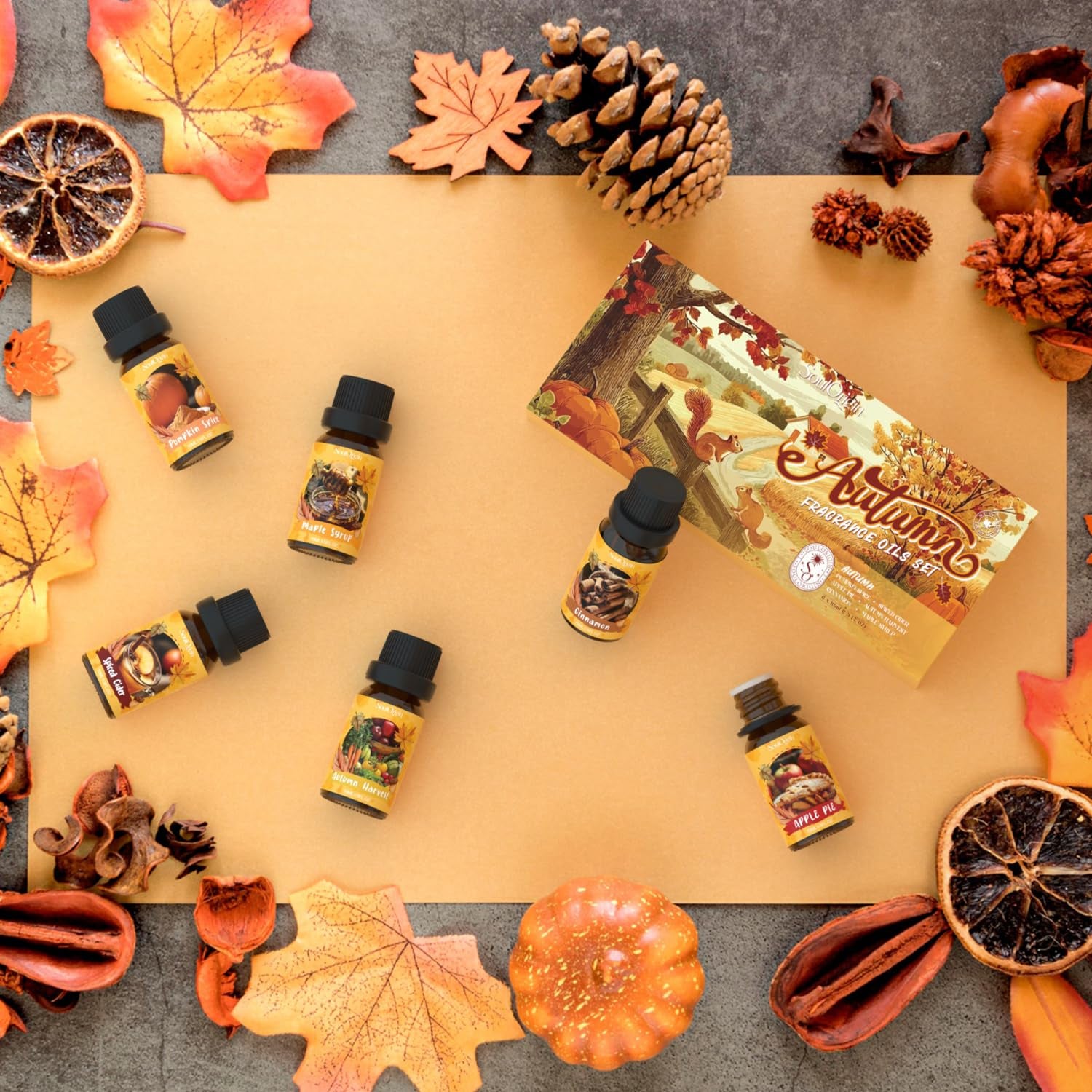 Autumn Fragrance Oils Set, Essential Oil for Diffuser, Fall Scent Diffuser Oil, Use for Soap Candle Making,Pumpkin Spice, Spiced Cider, Maple Syrup, Autumn Harvest, Cinnamon, and Apple Pie
