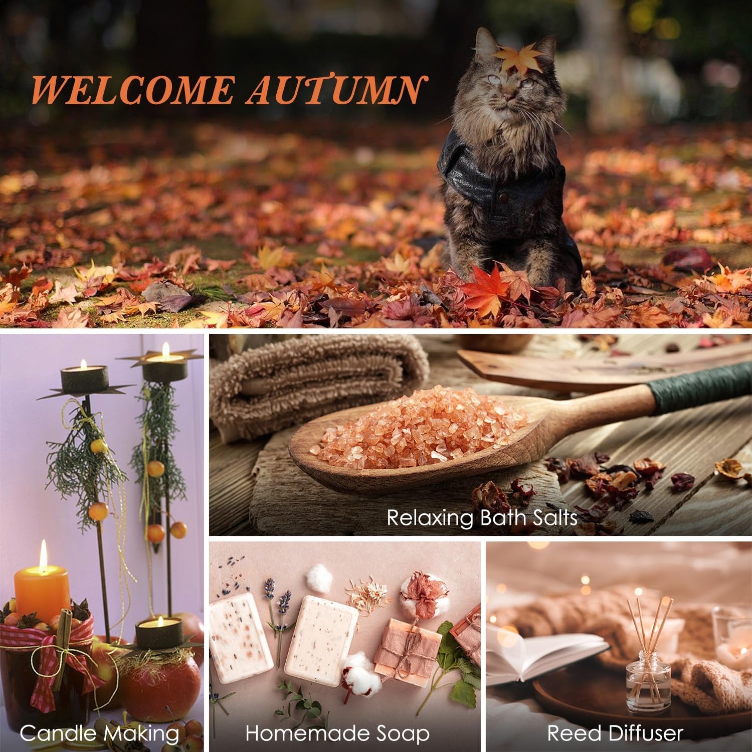 Fall Fragrance Oils Set, Autumn Essential Oil for Diffuser, Candle Making, Aromatherapy Oils Gift - Cinnamon, Pumpkin Spice, Vanilla, Snickerdoodle, Spiced Cider, Nutmeg, 6X10Ml